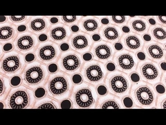 ভর স্টক জল দ্রবণীয় লেস ট্রিম Guipure এমব্রয়ডারি লেইস ট্রিম ফ্যাব্রিক